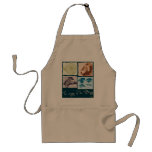 Darwin, The Voyage of the Beagle. Delantal aprons