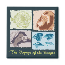 Darwin, The Voyage of the Beagle Imán De Frigorífico