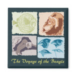 Darwin, The Voyage of the Beagle magnets