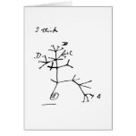 Darwin Tree cards