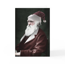 Darwin Xmas Card cards