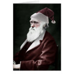 Darwin Xmas Card