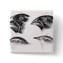 Darwin's bird observations button
