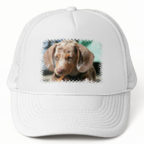 Daschund Dog Baseball Hat