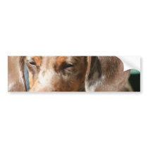 Daschund Dog Bumper Stickers