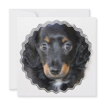 Daschund Dog Invitation