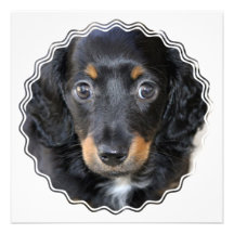 Daschund Dog Invitation