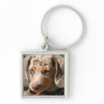 Daschund Dog Keychain