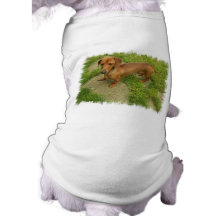 Daschund  Doggie Shirt