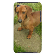Daschund  iTouch Case iPod Touch Case