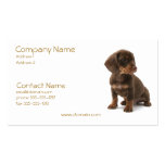 Daschund Puppy Business Card
