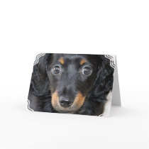 Daschund Puppy Dog Greeting Card