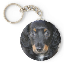 Daschund Puppy Dog Keychain