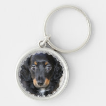 Daschund Puppy Dog Keychain