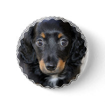 Daschund Puppy Dog Round Button