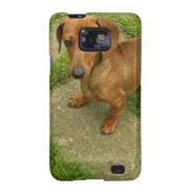 Daschund  Samsung Galaxy Case