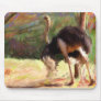 Dashing Ostrich