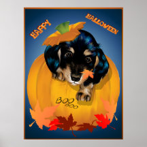 Dashund Halloween - Boo Poster