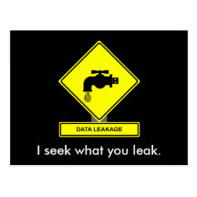 Data Leakage Postcard