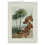 Dates Greeting Cards
