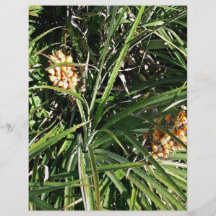 Dates in shrubs flyer design