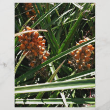 Dates in shrubs flyers