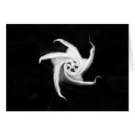 Datura Card