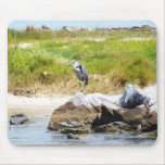 Dauphin Island Mouse Pads