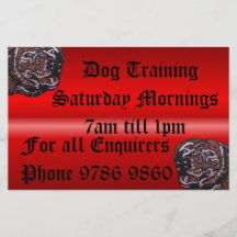 Dave Flyer Design