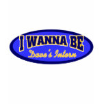 Dave Intern Wanna Be t-shirts