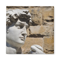 David Statue in  Florence Italy Fridge Magnet