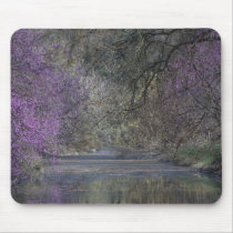 Davis Arboretum Creek Mousepad