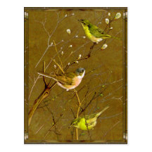 Dawn of Spring Postcard