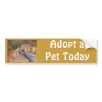 Dax and Chance Share Bumper Sticker