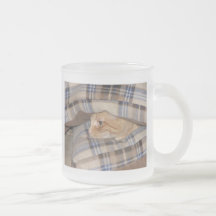 Dax Cat Pillow Sandwich Mug