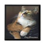 Day Dreamer Magnet
