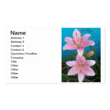 Day Lilly Business Card