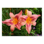 Day Lily 112 ~ ATC Business Card Templates