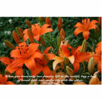 Day lily and quote- 2 x3 magnet Photo Sculpture