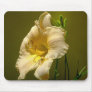 Day Lily mouse pad