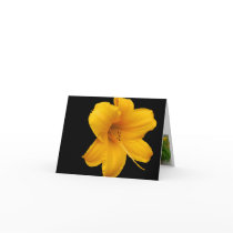 Day Lily Note Card