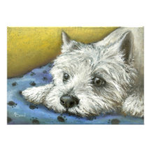 Daydreaming Westie Announcement