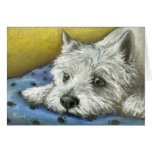 Daydreaming westie greeting cards