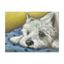 Daydreaming westie postcard