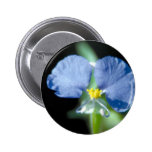 Dayflower Pin