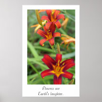 Daylilies Poster