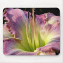 Daylily 'Ada May Musick' mousepads