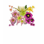 Daylily Mix t-shirts