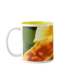 daylily mugs