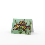 Daylily Note Card